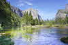 Yosemite NP