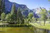 Yosemite NP