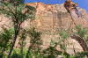 Zion NP