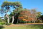 P3/14 - Exbury Gardens