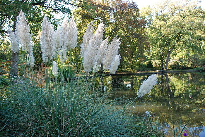P10/14 - Exbury Gardens