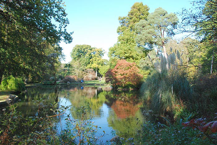 P11/14 - Exbury Gardens